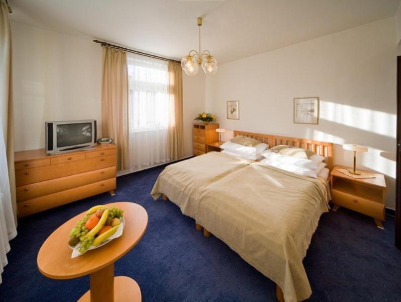 Monti Spa Františkovy Lázně Oda fotoğraf