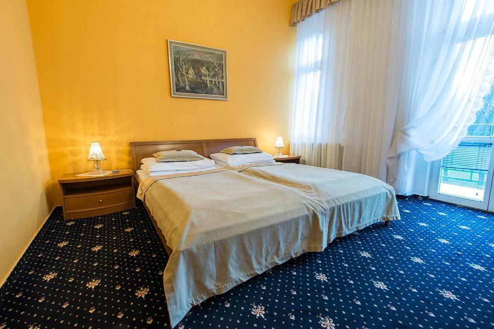 Monti Spa Františkovy Lázně Oda fotoğraf